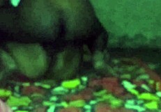 i lifted the sleeping bhabhi and fucked her