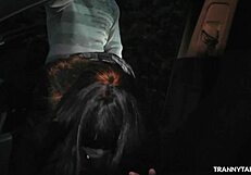 Просто тусуюсь с т-девушками на парковке и в порно-театре