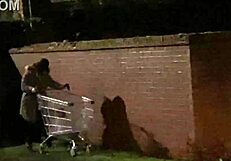 Beautiful milf in a homemade sex video