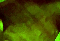 Marie Being Used And Creampied By Mature Gay Amateurs