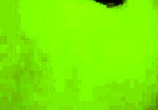 chasity, show me that blowjob up close? cumshot tease!