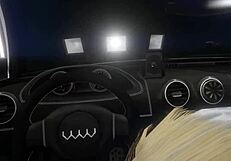 i picked up a hooker in gta 5 first person