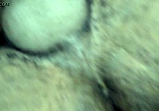 Fucking The Wife In Intense Home Session