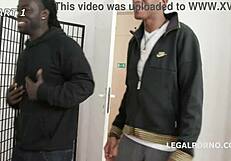 Loan Sharks 1 - Lauren Phillips settles debt with intense 2on1 anal and deep gapes. Facial finish with Gio980.