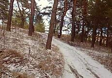 milf bends over for pov blowjob and cum on pussy in dirty pantyhose outdoors