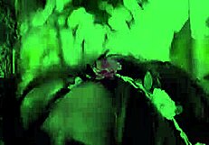 Little booty teen bounces outdoors