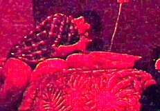 is this straight married guy enjoying being fucked pt4?