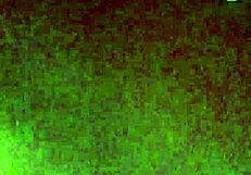 i explore gay culture in vietnam on blued