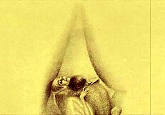 Vintage Erotic Drawings