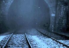 Vintage Erotic Illustration Collection