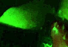 Wife takes control with strapon on husband in intense anal session!