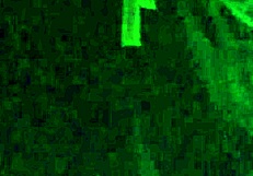 Mamon Se Pajea With Mature Fucking And Toys