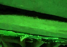 Hey, check Sony hidden camera capturing raw Indian sex