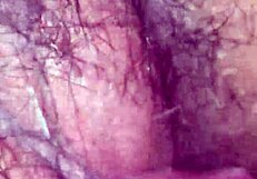 Does My Daddy Leave His Cum In My Bed?