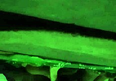 Hey, check Sony hidden camera capturing raw Indian sex