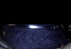 fucking a skinny indonesian ladyboy