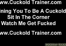 Watch me get fucked hard by a real man, cuckold