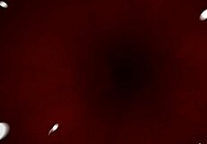 these legal young 18+ porn images show cute teens in blowjob and fucking scenes