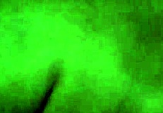 making love late night