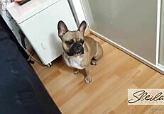 Intense Blowjob and Vibrator Sex in POV with Curvy Sheila Ortega