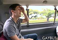 wow, check this out! homosexual bear sex gets wild and rough in steamy bedroom action tonight!