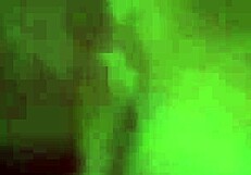 Hey babe, milk my prostate while I pound your ass and explode everywhere.