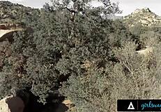 Riley Reid imagines muff diving big tits girls while fingering herself hard. 😘