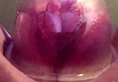 pumped pussy looks swollen