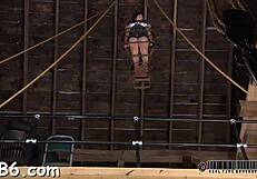 Caged Babe Freed for Rough Torment?