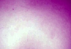 Culeando y ella muy caliente in anal oral assfucking with prostitute