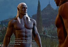 Baldurs gate 3 naked playthrough with halsin romance