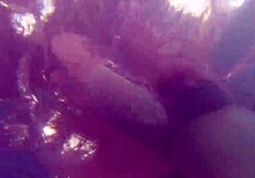 Gabriela teen fucks in pool