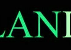 Muscular bodybuilders suck big cocks