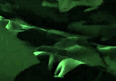 He says, 'I got sucked by that gay guy'