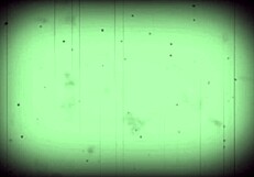 Gay Fucking In My World Sex Show