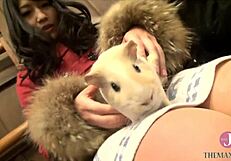 On all fours sucking cock hard with a vacuum deep-throat and tit-job