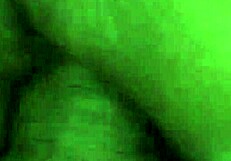 naughty girlfriend gets anal and squirts