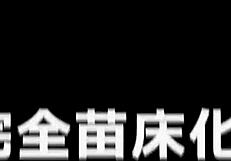 Kuonaichi Enjoys Hentai Adventures