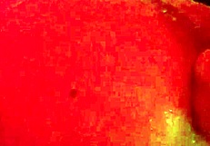 Gay Fffreitag Evening.