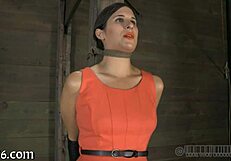 Wow, upside down babe giving an epic blow job