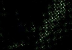 体にペイントしたら屋外で激しく興奮した