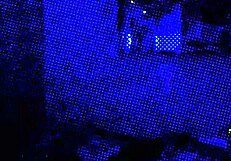 Painting our bodies got us insanely turned on outdoors.