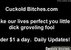 Want To Humiliate The Cuckold In Our Game?