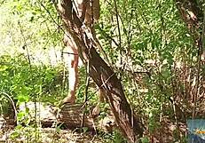 that wondrous forest mala dvojka adventure