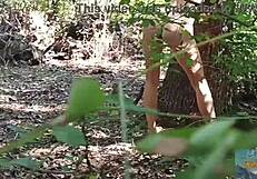 that wondrous forest mala dvojka adventure