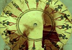 Vintage Cartoon Pornostalgia With Hairy Antique Elements