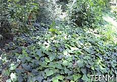 i delight in sasha summers' wet uncensored blowjob fucking teen pussy missionary oral