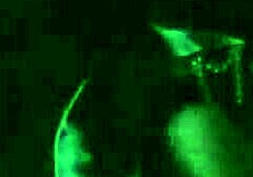 Girlfriend Gives Cute Handjob Cumshot