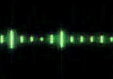 Black Tgirls With Big Tits And Monster Cocks One Year Later!