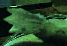 this blowjob is extra sloppy and wet